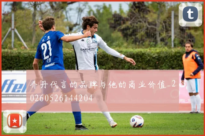 乔丹代言的品牌与他的商业价值_20260526144204